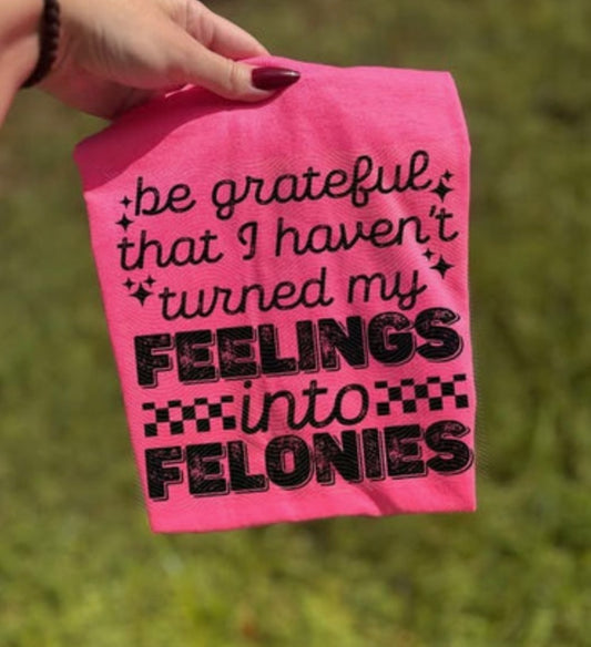 Feelings into Felonies